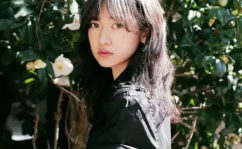 西西木小姐姐,揭秘网络红人的魅力与影响力