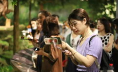 佛坪拍摄小姐姐,镜头下的美丽小姐姐