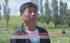 吃瓜网老王,揭秘娱乐圈幕后故事，带你领略明星真实生活