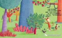 小猴子爱上小姐姐故事,一段跨越物种的浪漫传奇