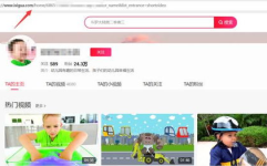 吃网红瓜站长工具,站长工具深度解析