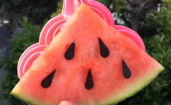 厦门网红吃瓜,揭秘美食背后的故事
