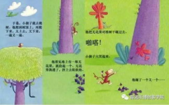 小猴子爱上小姐姐故事,一段跨越物种的浪漫传奇