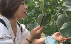 吃瓜网红事件新疆视频,揭秘事件背后真相