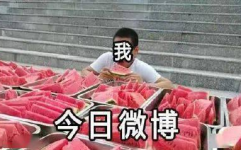吃瓜事件小网红,揭秘吃瓜小网红的爆红之路
