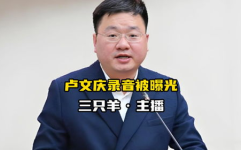 吃瓜网卢文庆录音,揭秘娱乐圈幕后真相