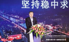 网红黎清,网红界的璀璨新星，揭秘她的魅力与成功之路