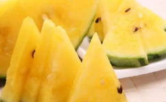 精品黑料吃瓜入口,精品黑料大揭秘，吃瓜群众入口即爽