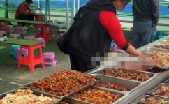小姐姐的盒饭,小姐姐的日常美食时光