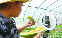 黑料六点半在线吃瓜,揭秘娱乐圈幕后真相，在线吃瓜狂欢