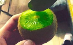 抖音吃网红瓜是真的吗,真相还是炒作？