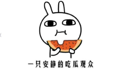 吃瓜黑料不,吃瓜黑料背后的真相