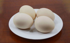 广东小姐姐吃鸡蛋,广东小姐姐的鸡蛋美食之旅