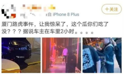 厦门网红吃瓜,揭秘美食背后的故事