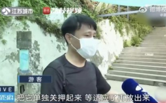 吃瓜网红姐弟,揭秘网络红人的甜蜜与争议