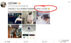 qq免费吃瓜网红圈,热门话题一网打尽