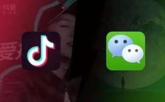 QQ各大抖音网红吃瓜群白嫖,白嫖现象背后的真相
